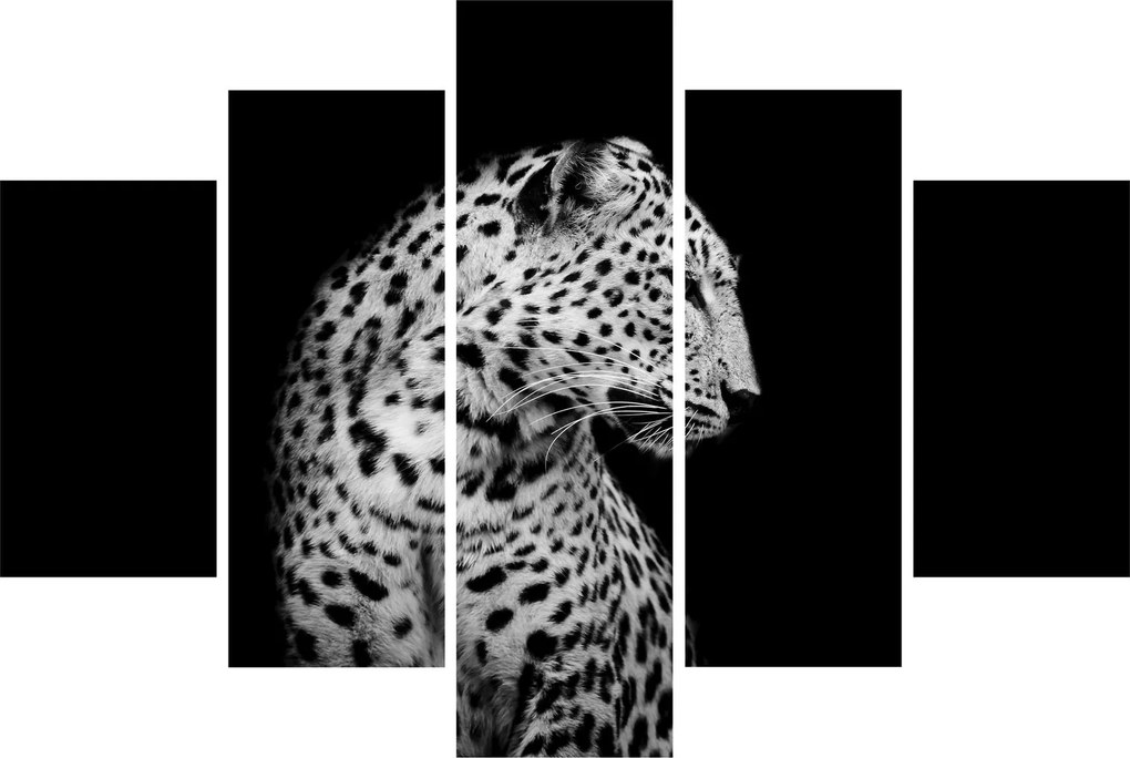 Kép - Leopárd (150x105 cm)