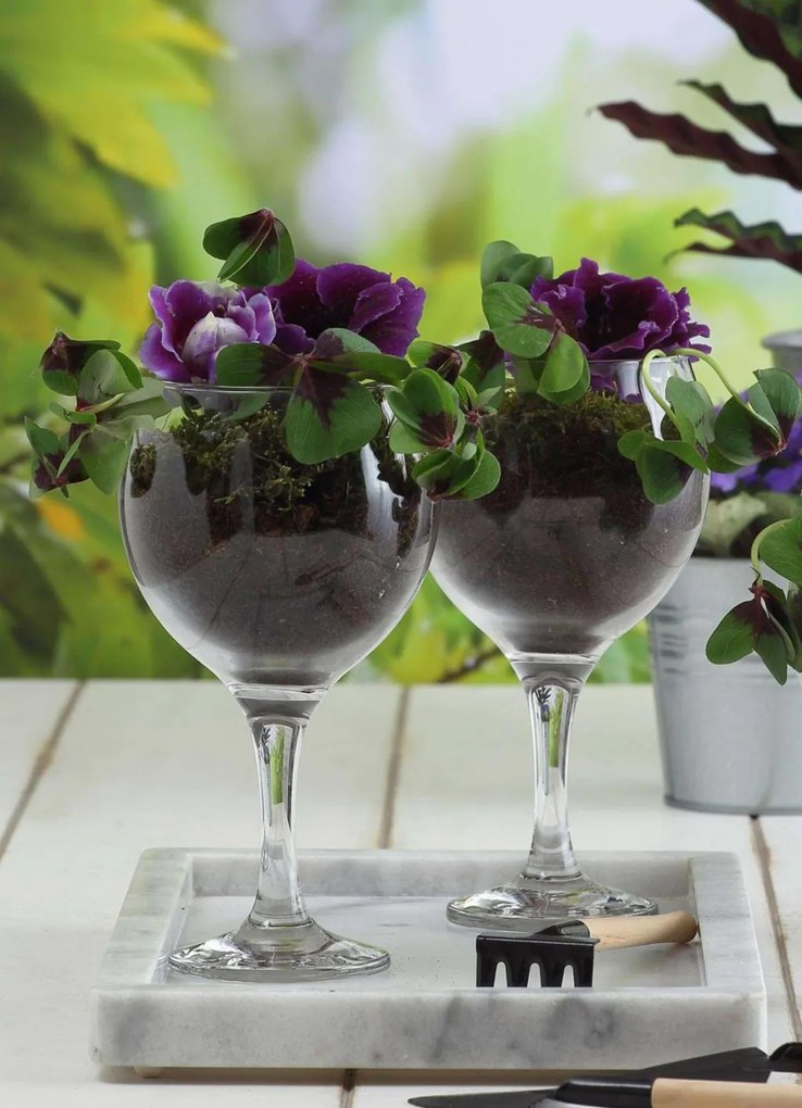 6 részes magas üveg pohár szett 210 ml