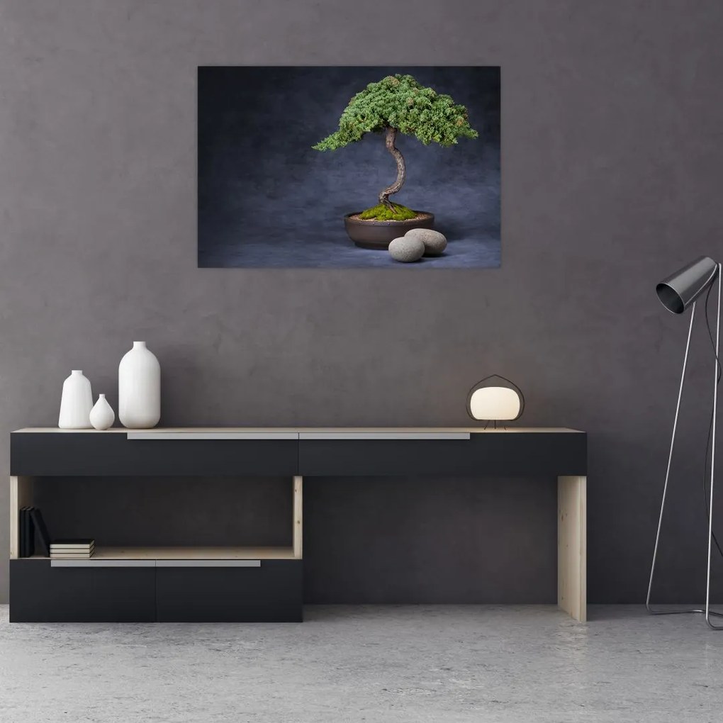 Kép - Bonsai (90x60 cm)