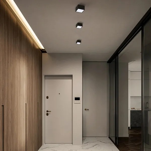 Immax Neo 07074L-15BD-Készlet 2x LED Dimmelhető lámpa CANTO 2xLED/12W/230V + távirányító