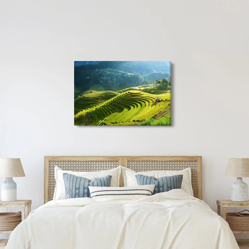 Kép - Rice Terraces koncert (90x60 cm)