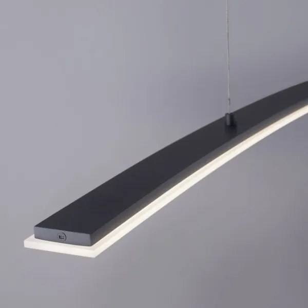 Paul Neuhaus 2530-13 - LED Dimmelhető csillár zsinóron JANINA LED/27W/230V