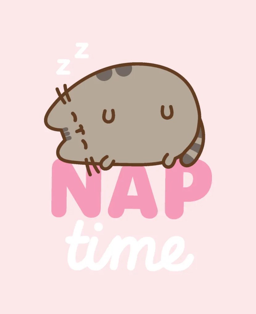 Pusheen Nap Time flanel polár takaró 130x160cm