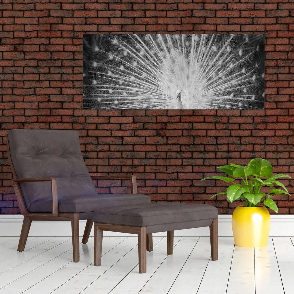 Kép - Fehér páva (120x50 cm)