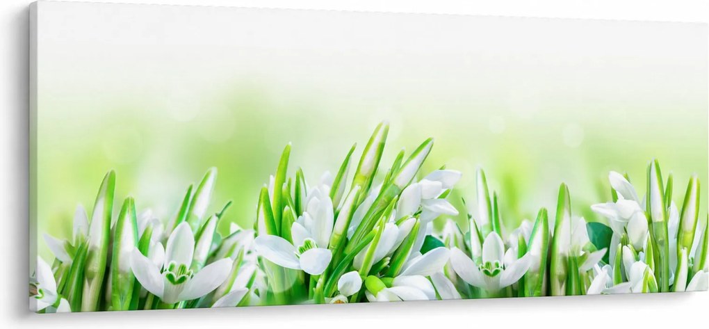 Kép - Hóvirág (120x50 cm)