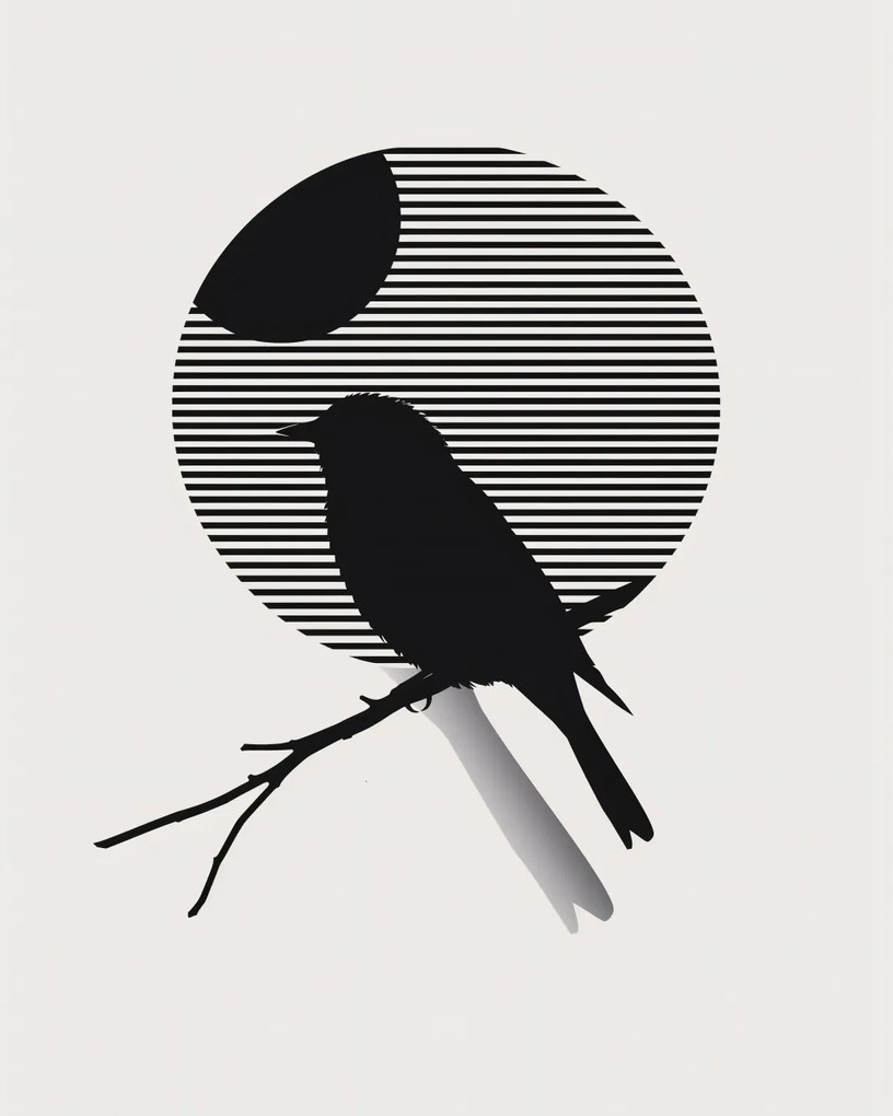 Poszter 40x50cm Kontraszt Karcsúság