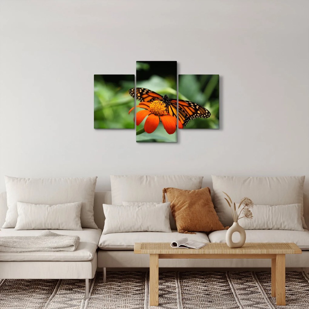Pillangó képe a virágon (90x60 cm)