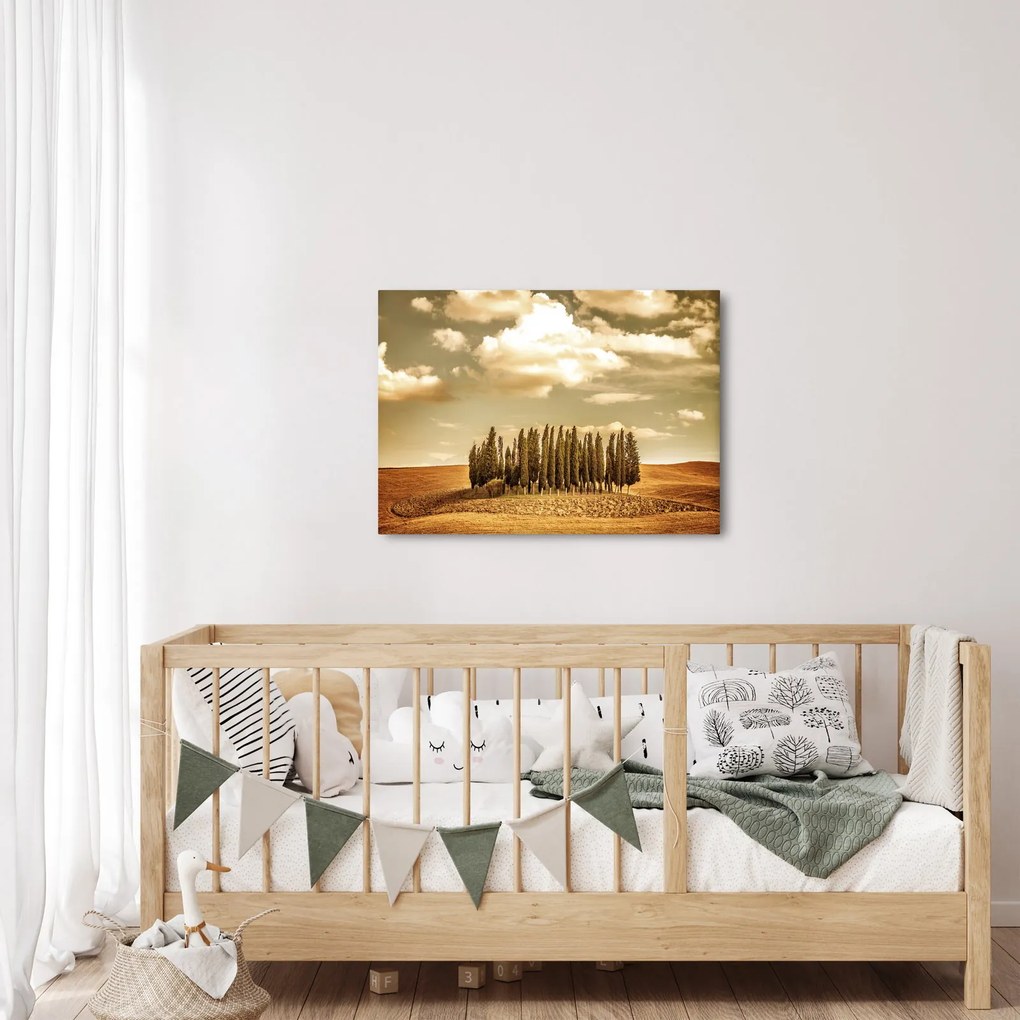 A Tisztás képe (70x50 cm)