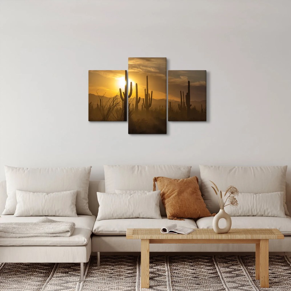 Kép - Saguaro kaktuszok (90x60 cm)