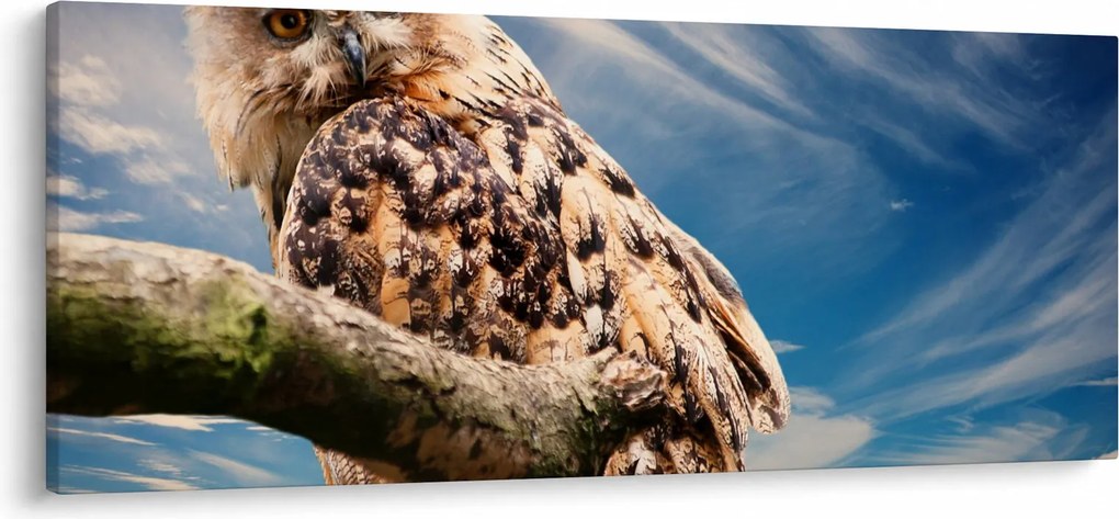 Bagoly képe (120x50 cm)