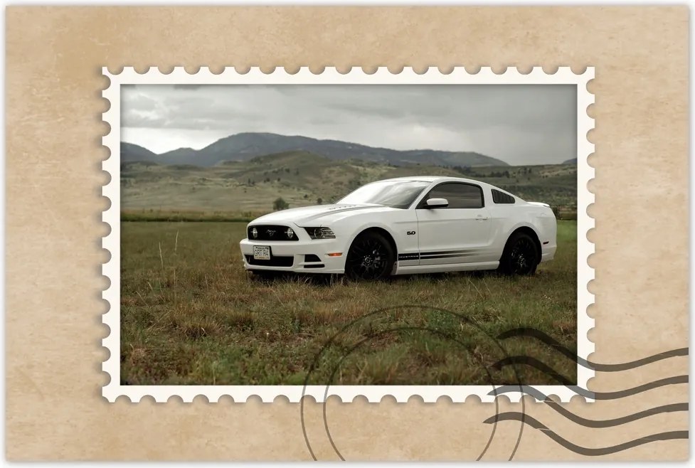 Poszter 60x40 Fehér Ford Mustang