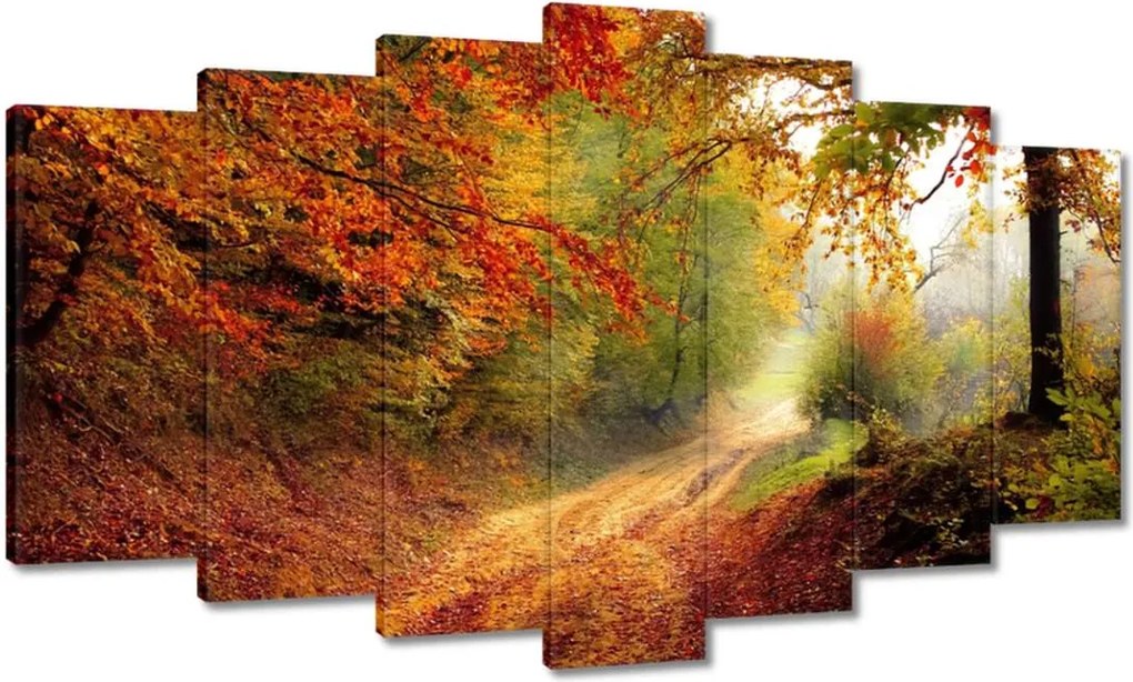 Képek 140x80 Út az erdőben ősz