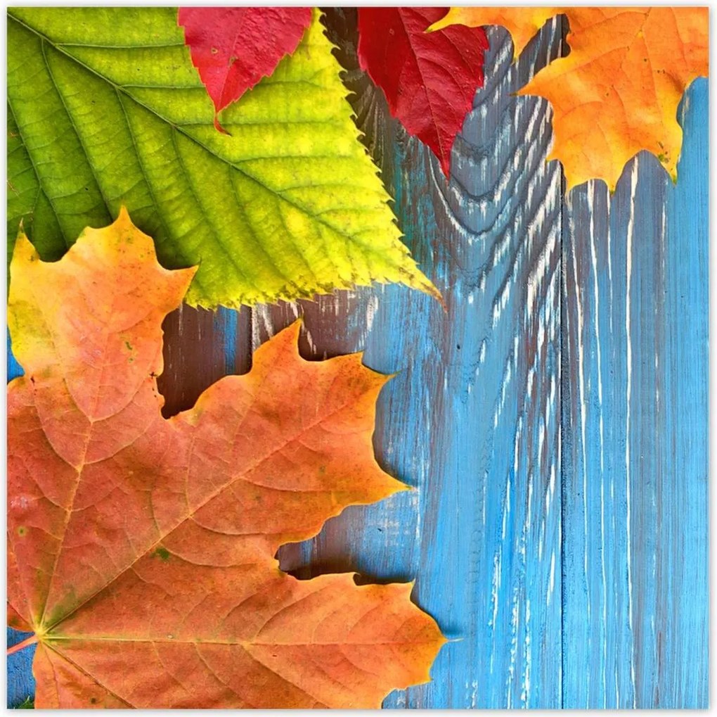 Poszterek 30x30 Színes őszi levelek