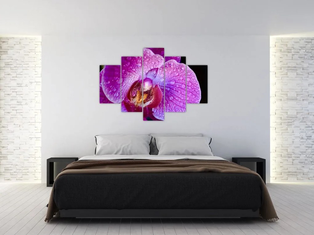 Részletes kép az orchidea virágról (150x105 cm)