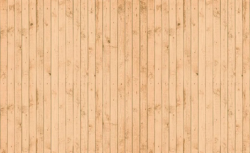 Fotótapéta - Textúra - fa (152,5x104 cm)