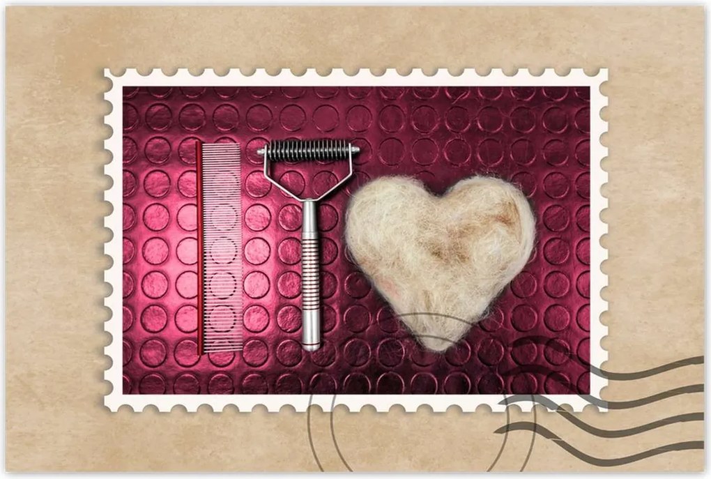 Poszterek 60x40 Kutyaápolás szett