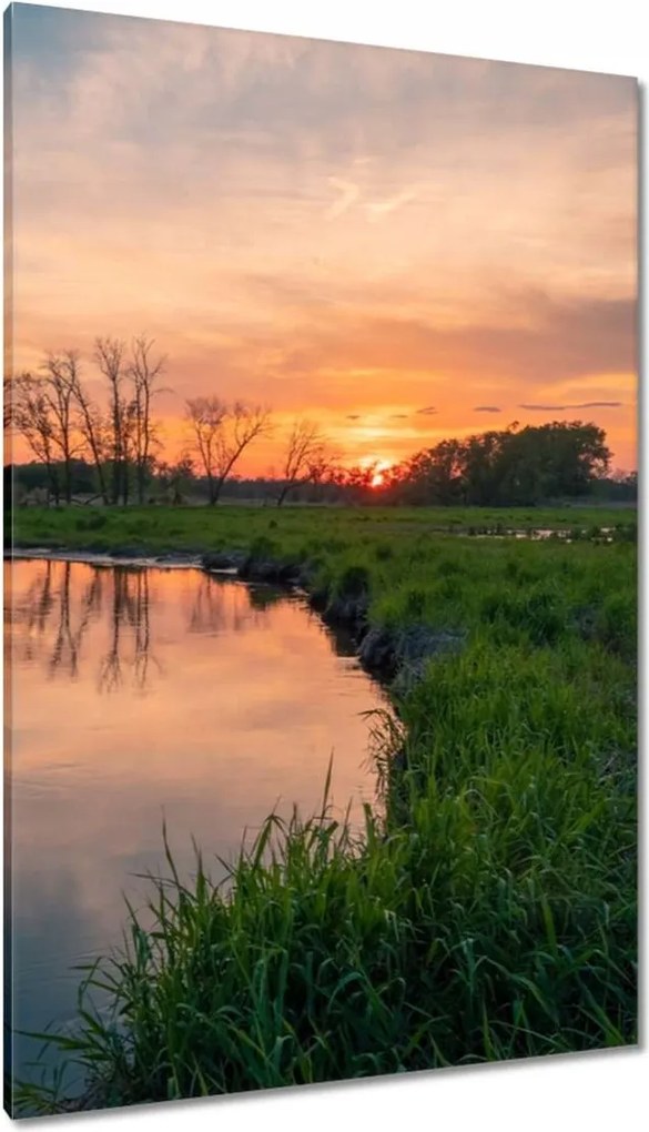 Vászonkép 80x120 Folyó rét