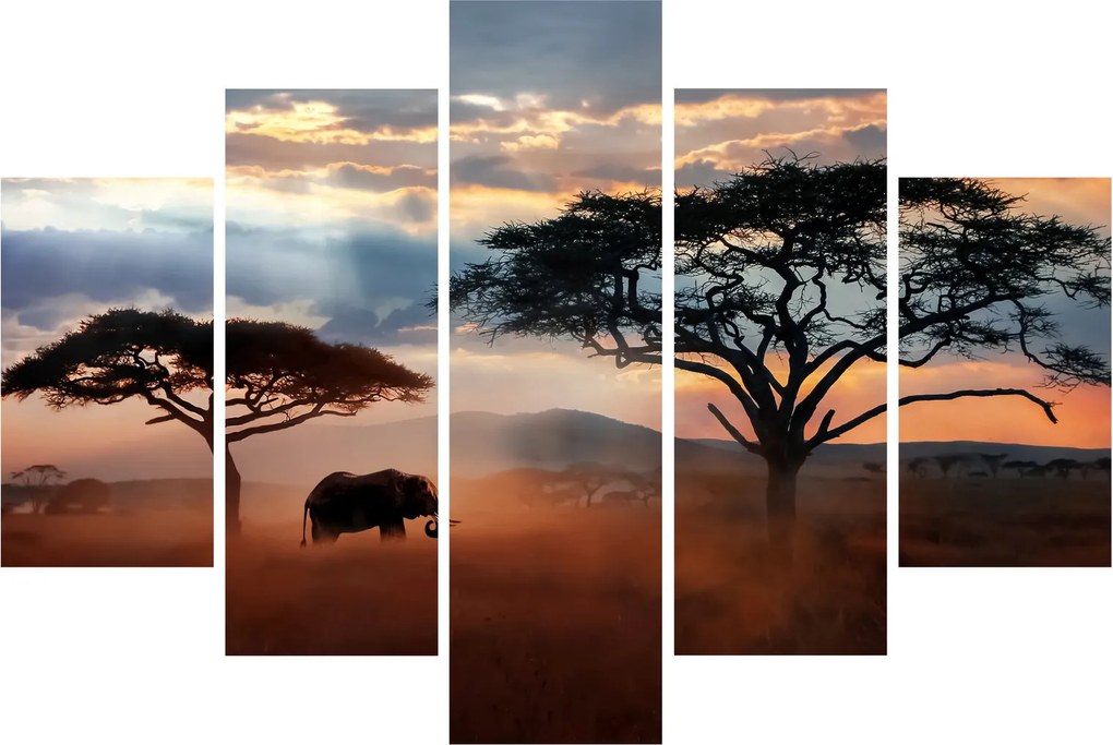 Kép - Serengeti Nemzeti Park, Tanzánia, Afrika (150x105 cm)