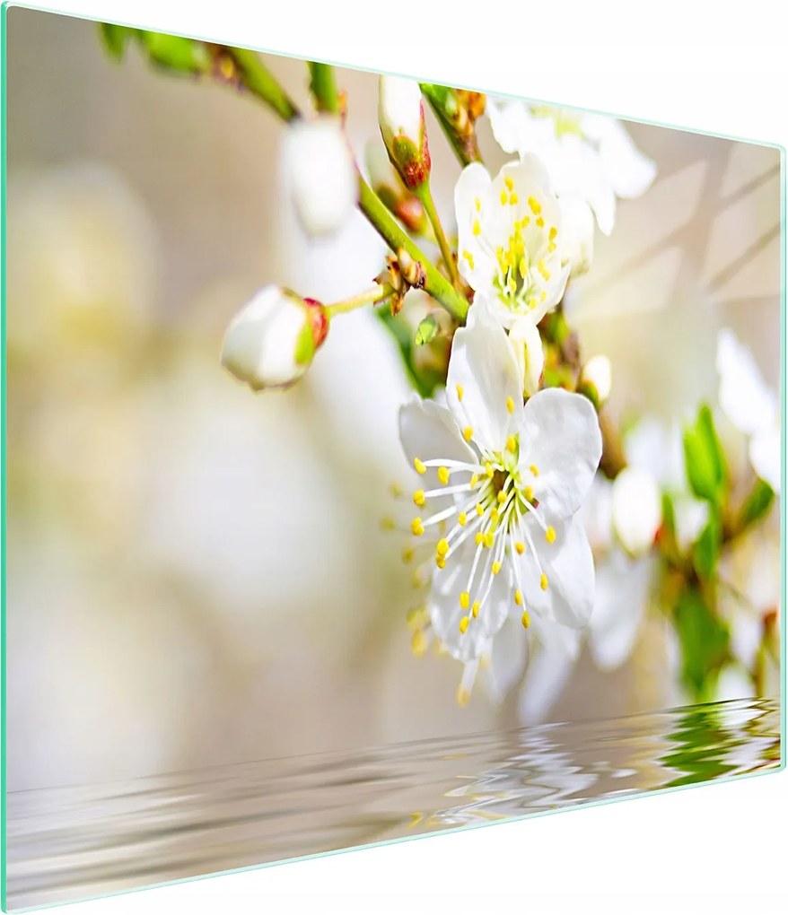 Üveg Vágódeszka 52x30 Szilva Edzett Üveg