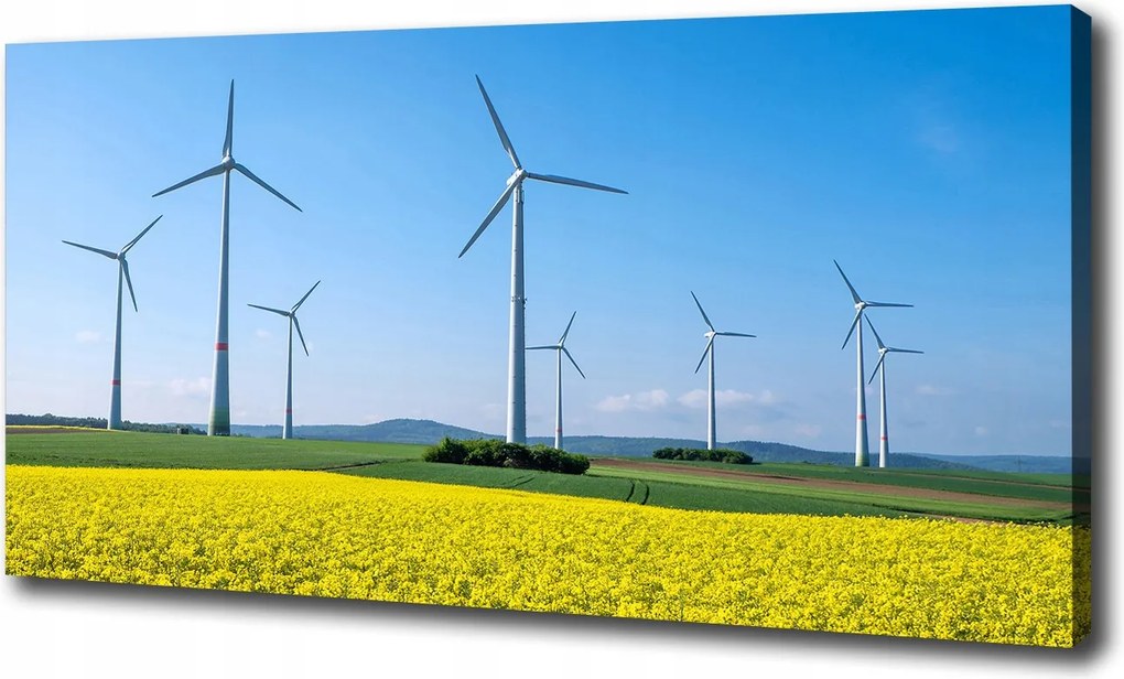 Vászonkép Szélmalmok a mezőn 100x70 cm