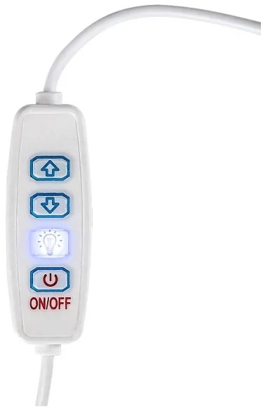 Rabalux 76003 - PIRIT LED asztali lámpa, 1,2W, 5V, 3000K, bükk