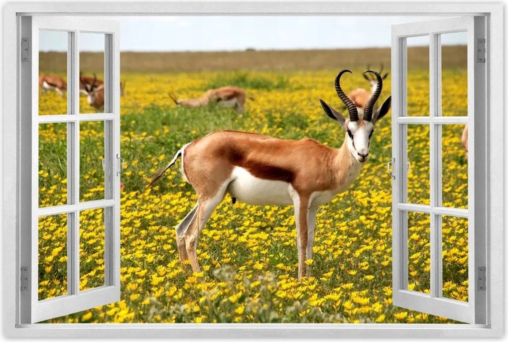 Poszterek 60x40 Antilop a virágok között