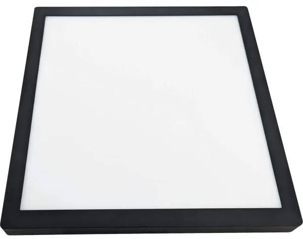 LED Mennyezeti lámpa FENIX LED/32W/230V 3800K