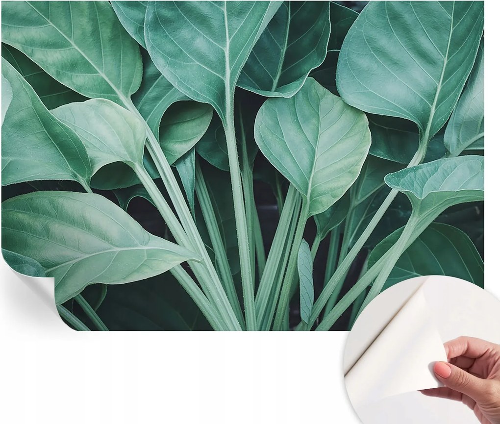 Öntapadós fali fotótapéta Hálószobába Zöld természet 152x104 cm