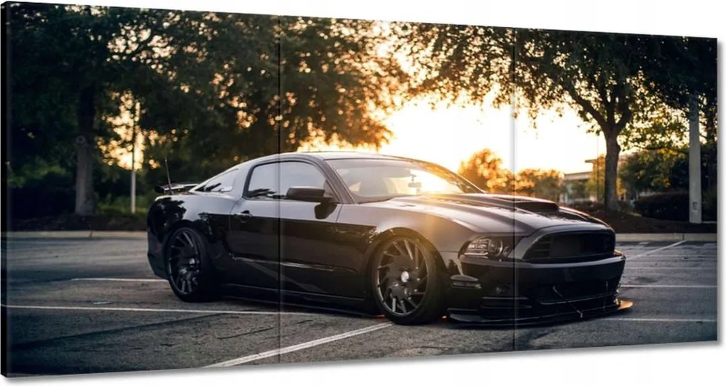 Vászonkép 180x90 Fekete fenevad Mustang