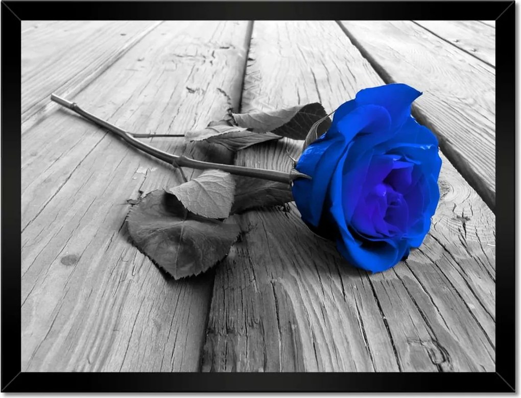 Poszterek keretben 40x30 Tintarózsa