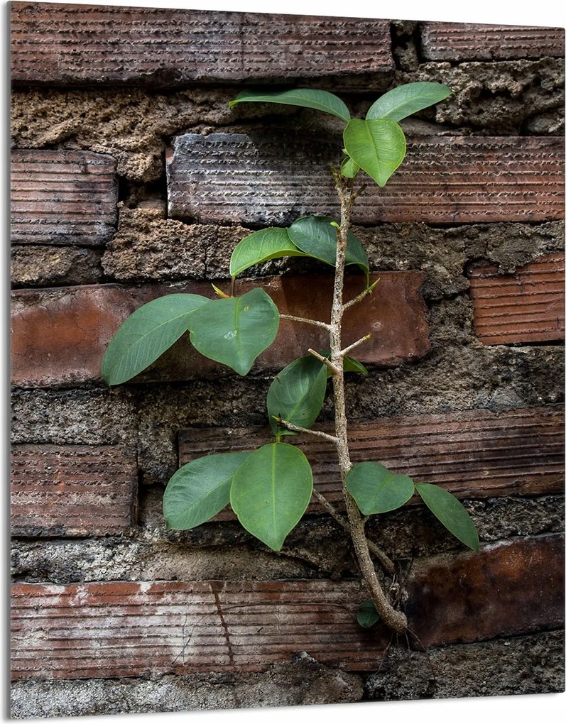 Üveg Vágódeszka 40x52 Tégla Konyha