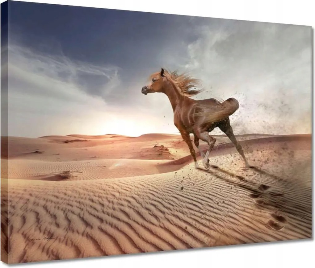 Vászonkép 40x30 Ló Lovak Lovaglás