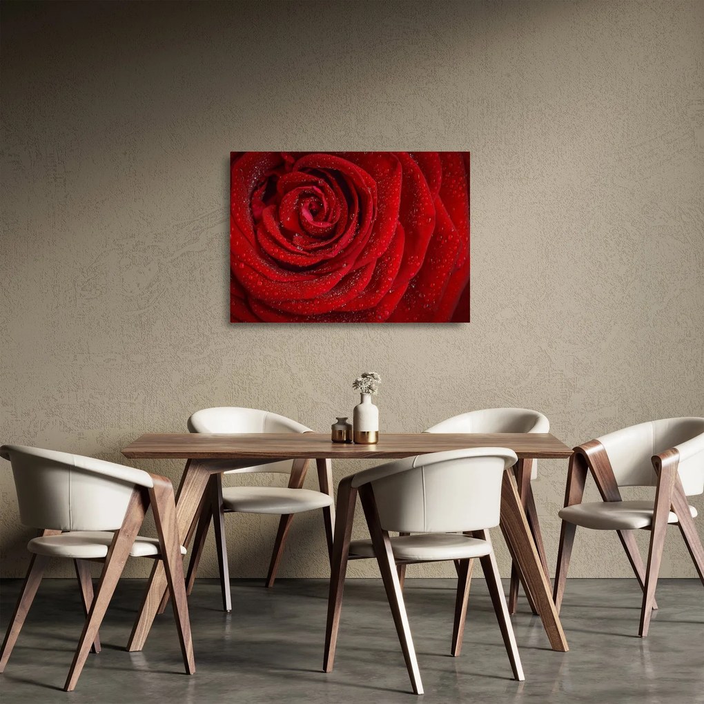 Kép - részlet a rózsáról (üvegen) (70x50 cm)