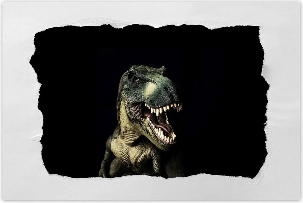 Poszter 60x40 Tyrannosaurus-t-rex fekete