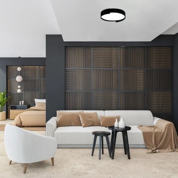 Rabalux 71305 - LED Dimmelhető mennyezeti lámpa LALEH LED/24W/230V 3000-6500K + távirányító