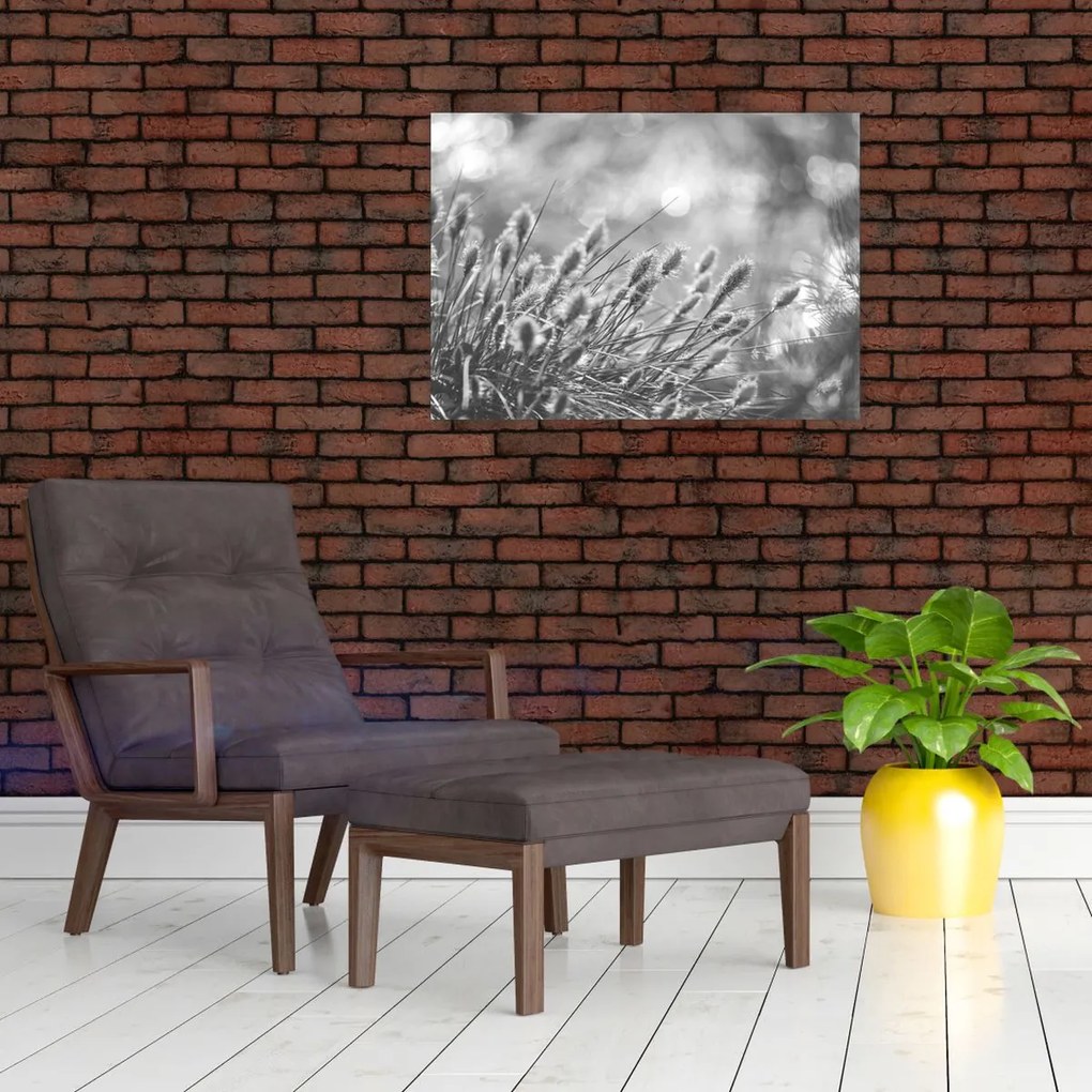 Kép - Bézs színű puha fű N⁰1 (70x50 cm)