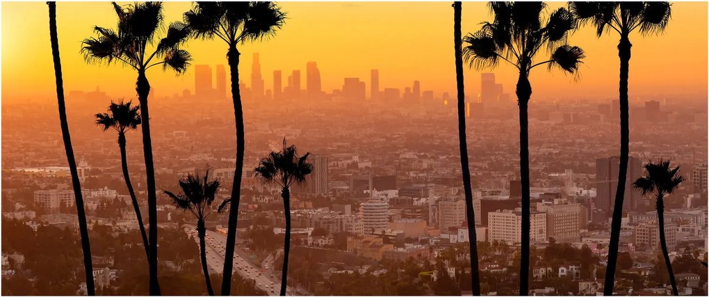Kép - Los Angeles panorámája (120x50 cm)