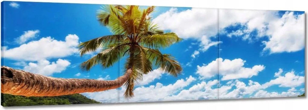 Vászonkép 150x50 Paradicsomi tengerpart pálmafákkal