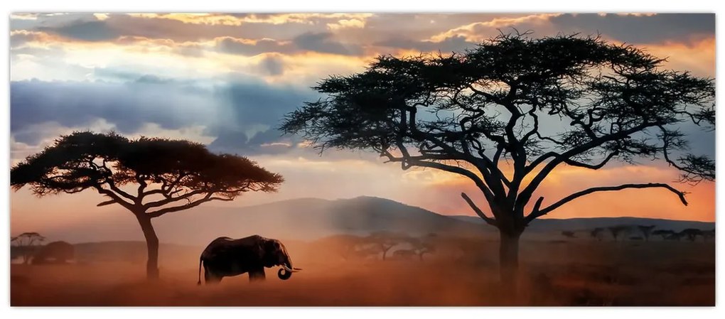 Kép - Serengeti Nemzeti Park, Tanzánia, Afrika (120x50 cm)