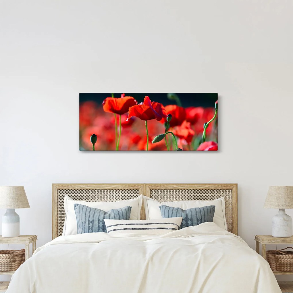 Kép - pipacsok (120x50 cm)