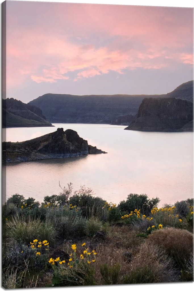 Vászonkép Természet Hegyek Víz Ég Virágok Növények 40x60