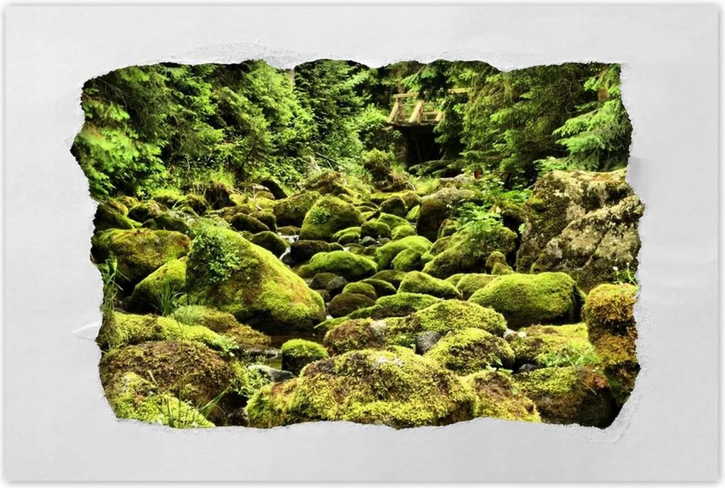 Poszterek 120x80 Tátra Lengyel hegyek Kilátás