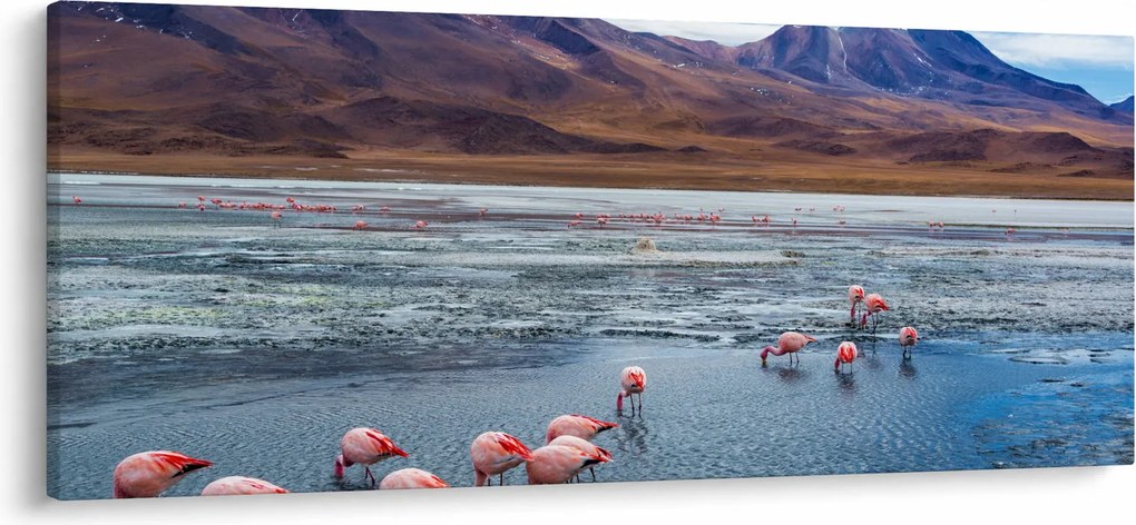 Kép - Flamingók (120x50 cm)