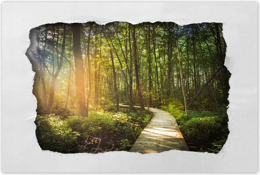 Poszterek 90x60 Napsugár a sétán