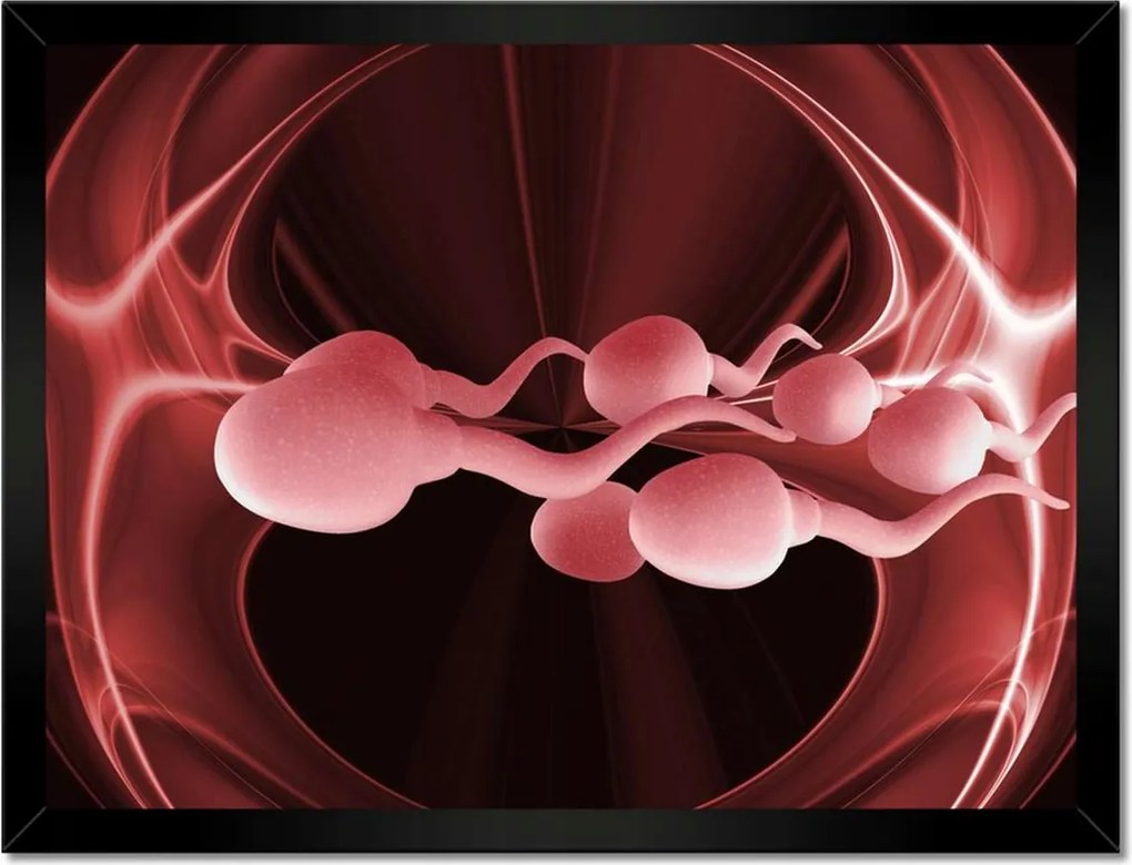 Poszterek keretben 40x30 Fogd meg magad