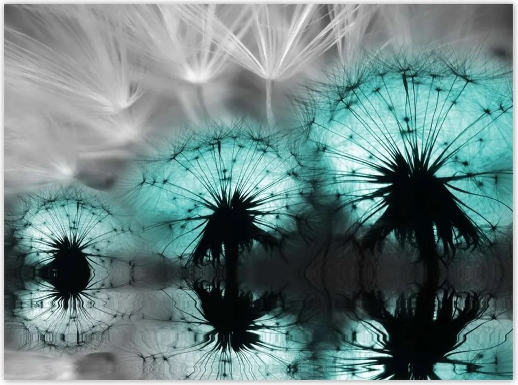 Poszterek 135x100 Türkiz pitypangok