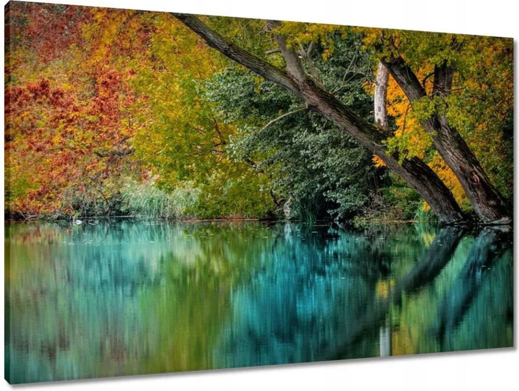 Vászonkép 90x60 Őszi táj Folyó