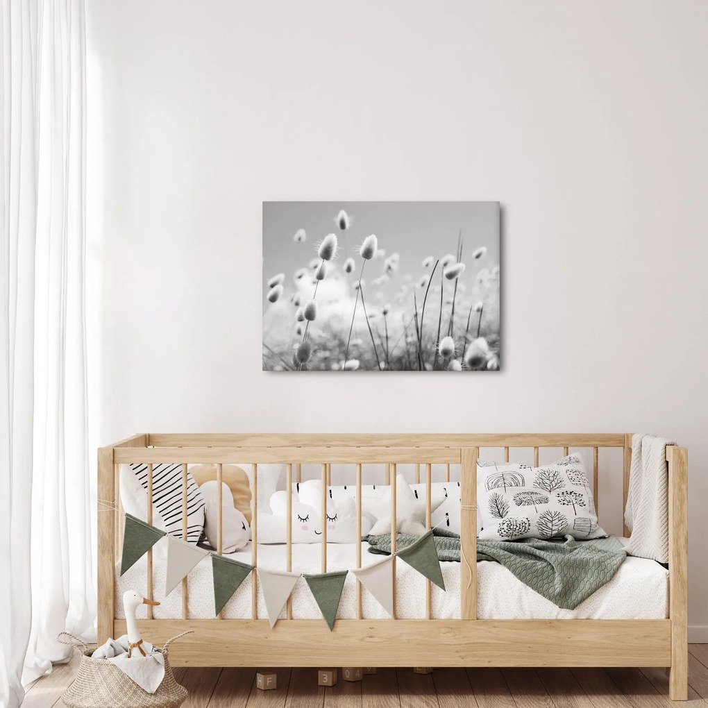 Kép - Boho nyuszi farok fű (70x50 cm)