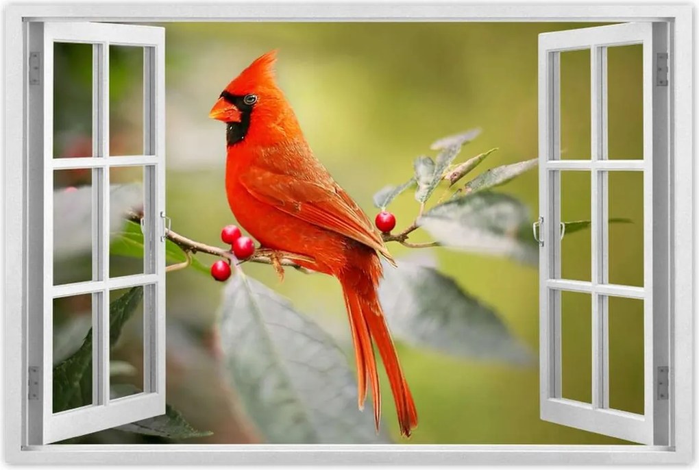 Poszterek 90x60 Madarak