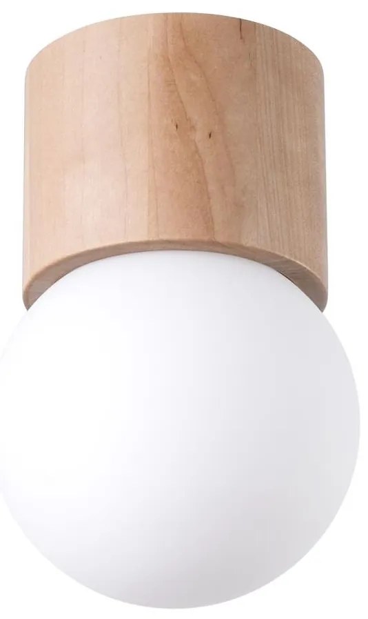 Sollux SL.1190 - Spotlámpa BOOMO 1xG9/8W/230V